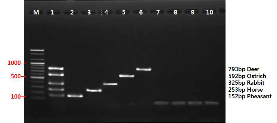 Specificity test; Multiplex direct amplification of six target species separated on a 1.5% agarose gel. Lane M: 100bp Ladder, 1: five target species mixed, 2: Pheasant (152bp), 3: Horse (253bp), 4: Rabbit (325bp), 5: Ostrich (592bp), 6: Deer (793bp), 7: beef, 8: pork, 9: chicken, 10: duck