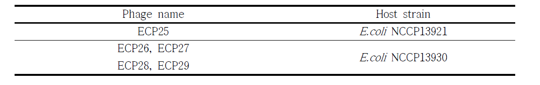 사용한 E.coli O157:H7 type 숙주 및 이로부터 분리한 phages