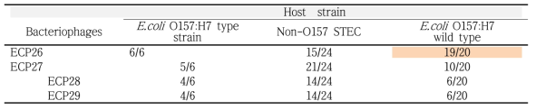 E.coli O157:H7 phage의 숙주 스펙트럼