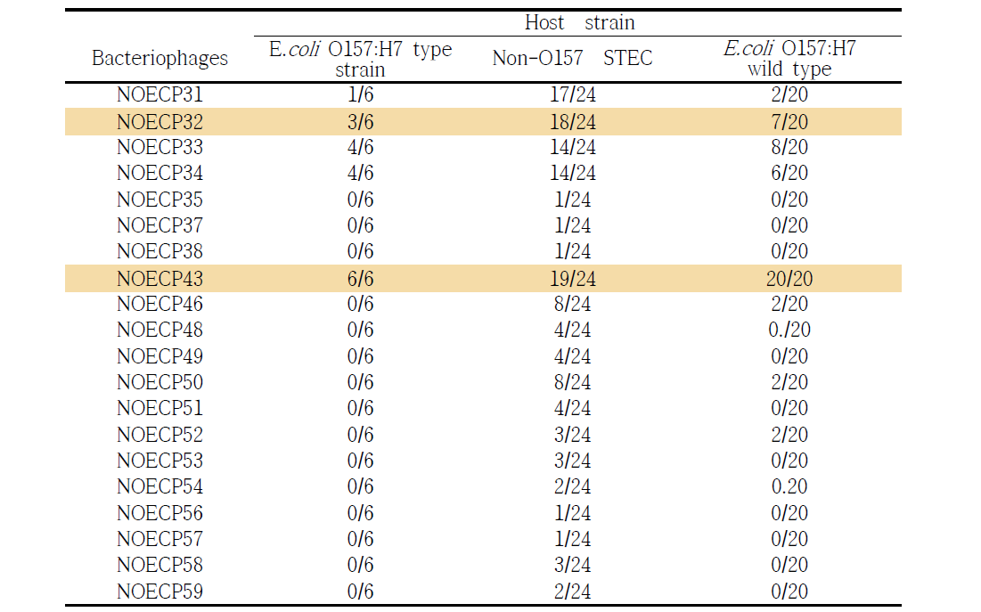 Non-O157 STEC phage의 숙주 스펙트럼