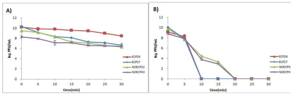 ECP와 NOECP의 온도 안정성 (A: 65℃, B: 70℃)