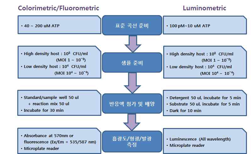 96-well plate를 이용한 colorimetric/fluorometric/luminometric ATP detection assay procedure