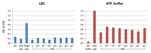 Phage infection 후 colorimetric assay로 측정한 ATP release (Optical density)