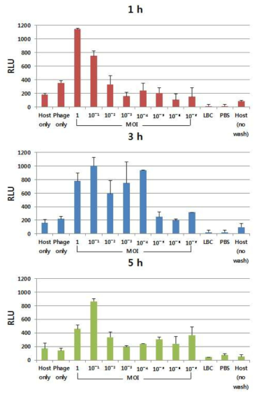 Phage infection 후 luminometric assay로 측정한 ATP release (RLU)