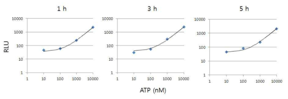 Luminescence assay의 ATP 표준 곡선