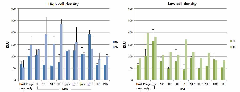 Phage 감염 및 원심 분리 후 상징액 중 ATP release의 luminescence signal에 대한 세포 밀도의 영향