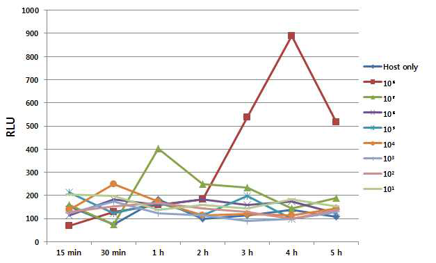 용균과 동시에 기질 처리 시 배지 내 luminescence signal 변화