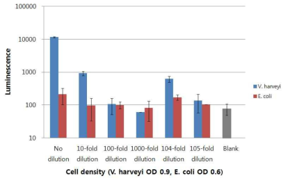 Vibrio harveyi ATCC 14126와 E.coli 현탁액의 microplate 내 bioluminescence 비교