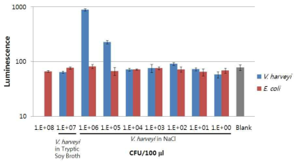 배지 색깔이 V. harveyi bioluminescence에 미치는 영향