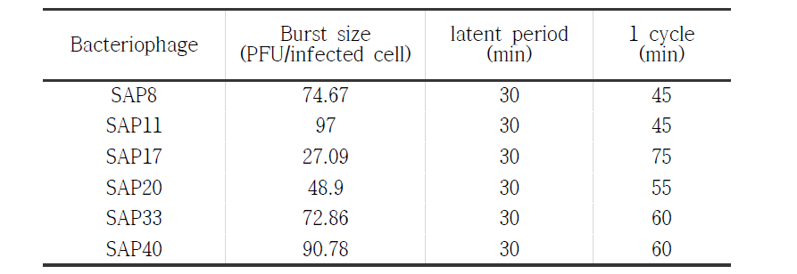 SAP의 burst size, latent period, 1 cycle