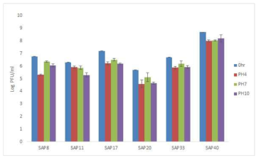 Six S. aureus bacteriophage의 pH 안정성