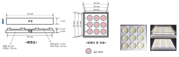 필름형 매트릭스 디자인 (좌) 및 시제품 (우)