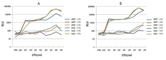 ADP 첨가 후 발광 강도, 좌: E. coli O157:H7, 우: S. aureus
