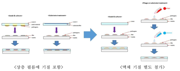개선된 필름형 매트릭스: 스왑 및 배양 단계, 파지 또는 기질 처리 단계