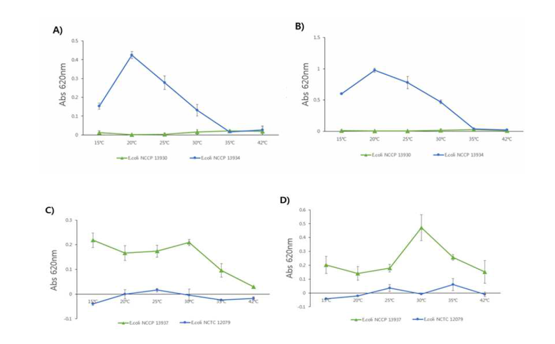 다양한 온도 조건에 따른 microplate 내 E.coli의 Biofilm formation, A) E.coli NCCP 13930, E.coli NCCP 13934 in TSB overnight solution, B) E.coli NCCP 13930, E.coli NCCP 13934 in TSB 1:100 dilution solution, C) E.coli NCCP 13937, E.coli NCTC 12079 in TSB overnight solution, D) E.coli NCCP 13937, E.coli NCTC 12079 in TSB 1:100 dilution solution