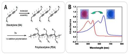 (A) 자외선 노광에 의한 PDA 합성, (B) PDA 소포체 용액의 외부 자극에 의한 색 변화