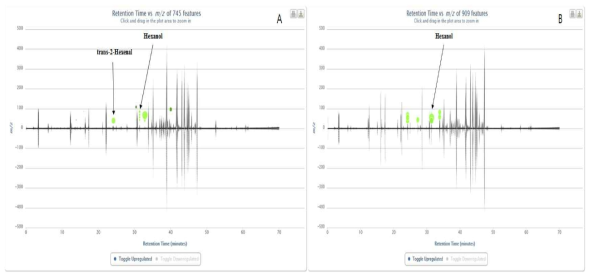 Interactive cloud plots of (A) dried Deodeok vs. dried Ginseng, (B) dried Doraji vs. dried Ginseng.