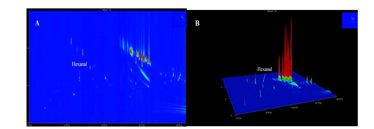 GCxGC-TOFMS chromatogram of raw ginseng. (A) 2D contour plot (B) 3D surface plot.