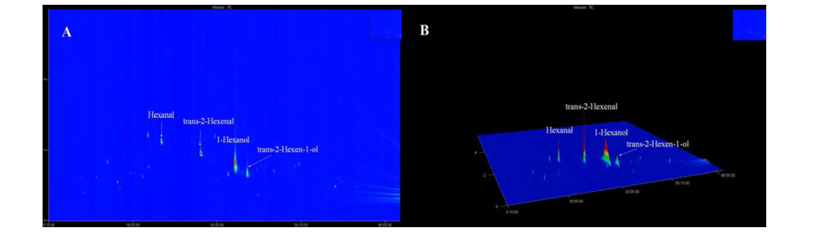 GCxGC-TOFMS chromatogram of raw doragi. (A) 2D contour plot (B) 3D surface plot.