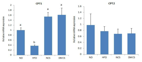 DGAS 처리 재결정화 밤 전분에 따른 간의 carnitine palmitoyltransferase 1/2의 유전자 발현의 변화