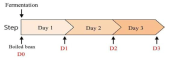 발효기간 (day 0 – day 3)에 따른 청국장 sampling