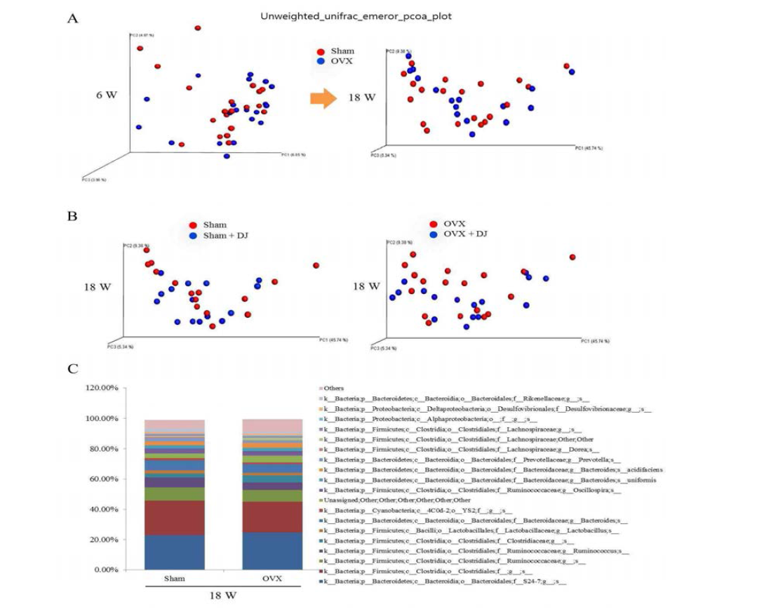 Influence of OVX on gut microbiome. (a-b) Changes in fecal microbiota over time after ovariectomy. (c) Composition of major bacterial families of in fecal of sham and OVX mice