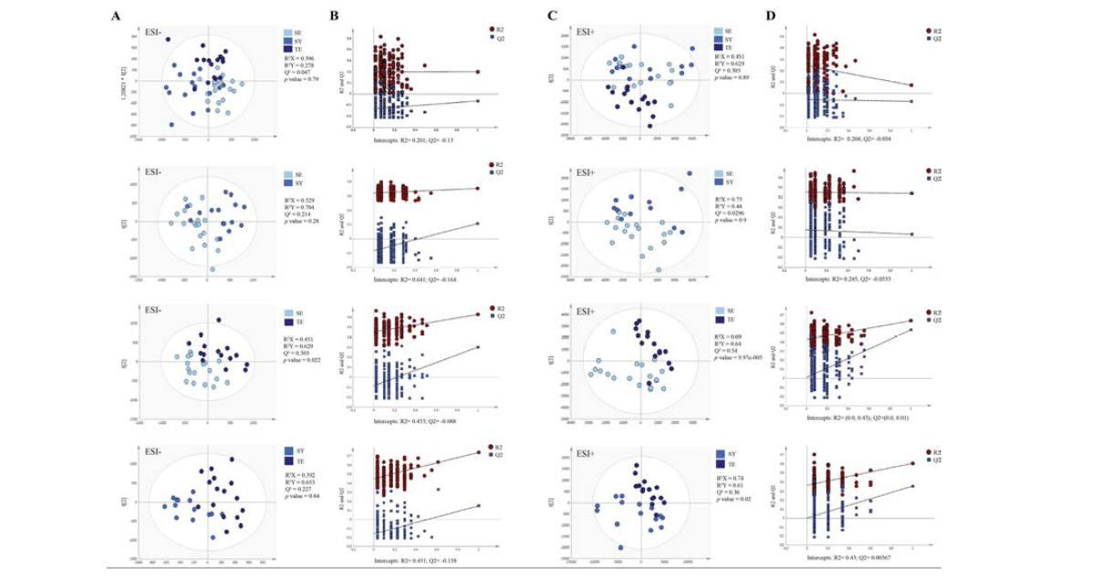 PLS-DA score plots and validation plots of plasma metabolomics data for SY, SE, and TE persons