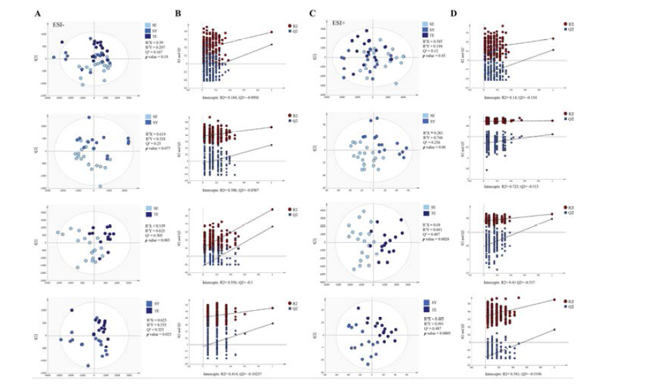 PLS-DA score plots and validation plots of plasma lipidomics data for SY, SE, and TE persons