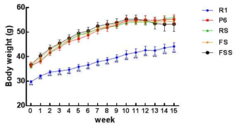 실험 기간 동안의 체중 변화