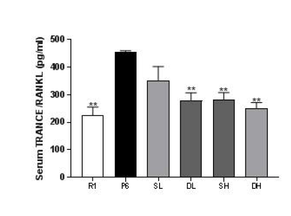혈청 TRANCE/RANKL 수치 변화