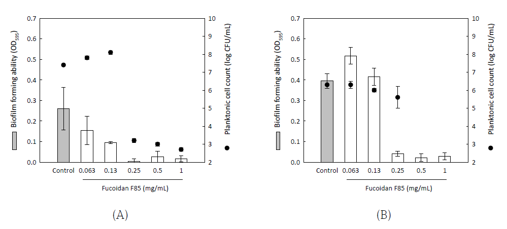 Antibiofilm activity of fucoidan F85 for Streptococcus sobrinus KCTC5809 for 24 h (A) and 48 h (B)