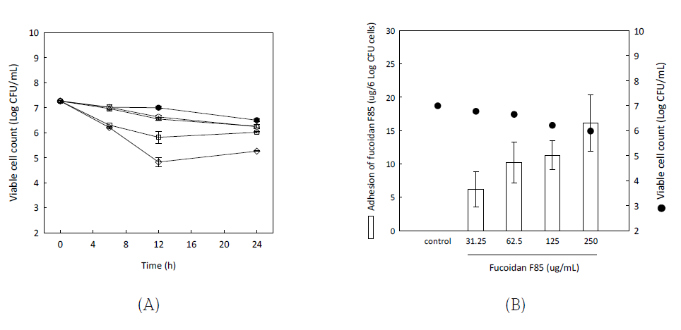 Viable cell count of S. mutans KCTC5458 for 24 h in 10 mM HEPES buffer pH 7 containing 0.2 % glucose and 0.6 mM KCl with different concentrations of fucoidan F85 (A), and adhesion amount of fucoidan F85 to S. mutans KCTC5458 cells after 8 h incubation