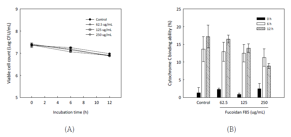 Viable cell count of S. mutans KCTC5458 for 12 h in 10 mM sodium phosphate buffer pH 6.8 with different concentrations of fucoidan F85 (A), and cytochrome C binding ability of S. mutans KCTC5458 cells with fucoidan F85 after 0, 6 and 12 h incubation