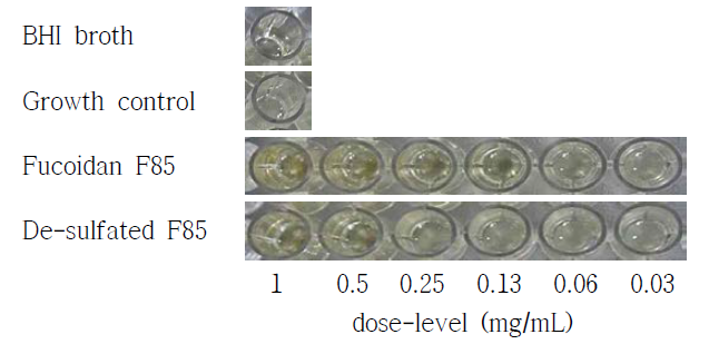 Minimum inhibitory concentration of de-sulfated fucoidan F85 against S. mutans KCTC 5458