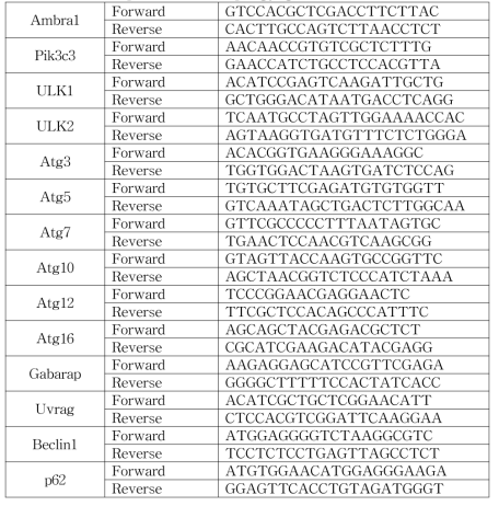 Primer sequences of autophagy genes