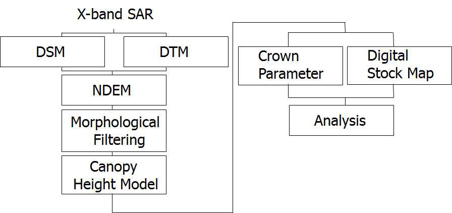 TerraSAR-X를 이용한 CHM 생성 연구흐름도