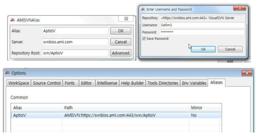 AptioV SVN 설정