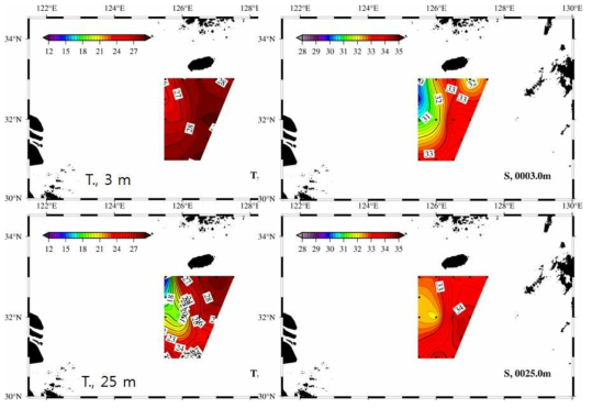 3m, 25m 수심에서 관측한 수온(좌) 및 염분(우) 관측도.