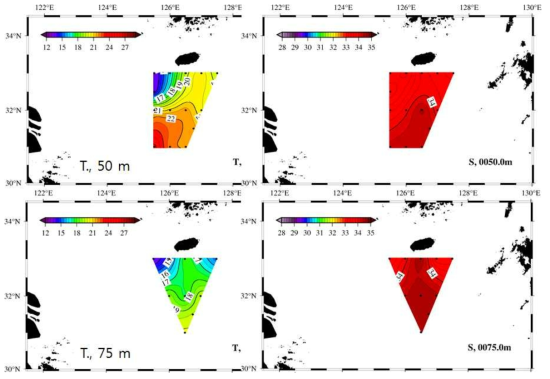 50m, 75m 수심에서 관측한 수온(좌) 및 염분(우) 관측도