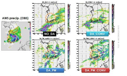 자료동화에 따른 예측 강수량 공간 분포도 비교