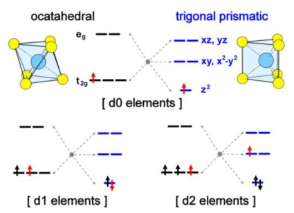 Crystal field splitting in octahedral and trigonal prismatic structures