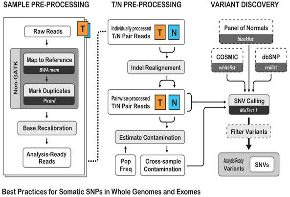 Broad Institute가 제공하는 GATK best practice(v3.5) 과정을 나타낸 모식도
