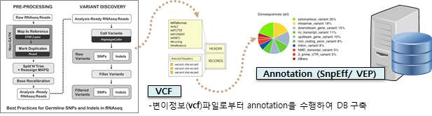 변이 분석 파이프라인 흐름도