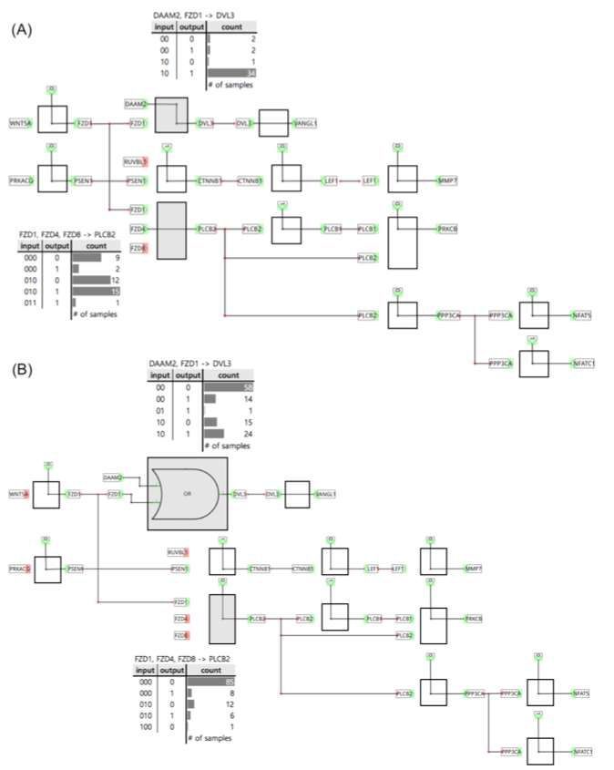 불린 네트워크를 이용한 Perturbated subpathway 검출 사례