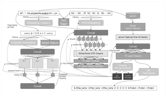 Bi-LSTM-CNN 기반 개체명 인식 모델의 구조