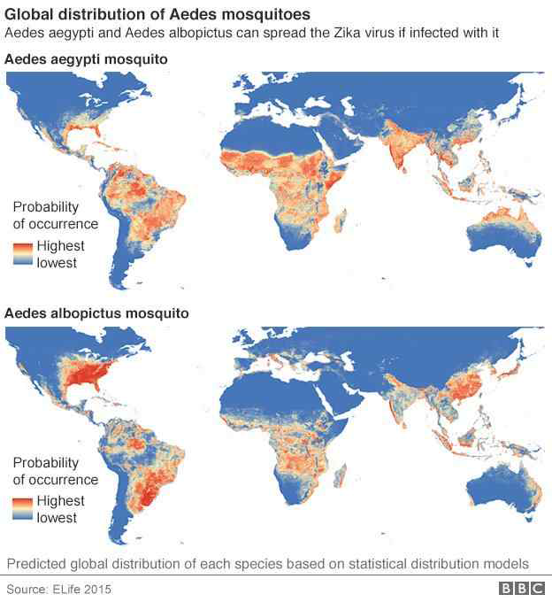 Distribution of Aedes albopictus spreading ZIKA virus