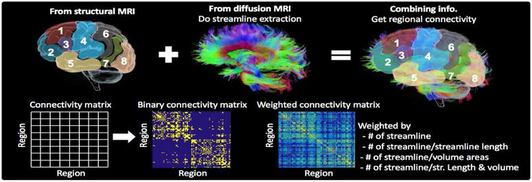 Pipeline of brain network extraction from brain image data