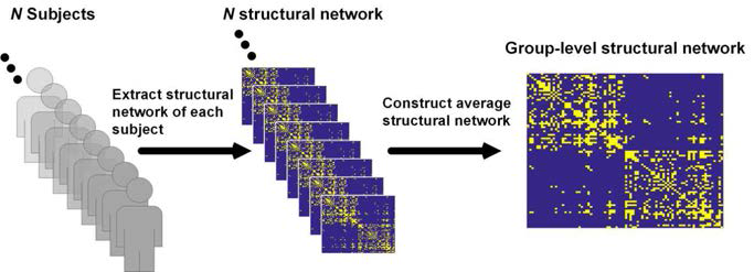 Schematic of constructing average structural brain network of normal subjects