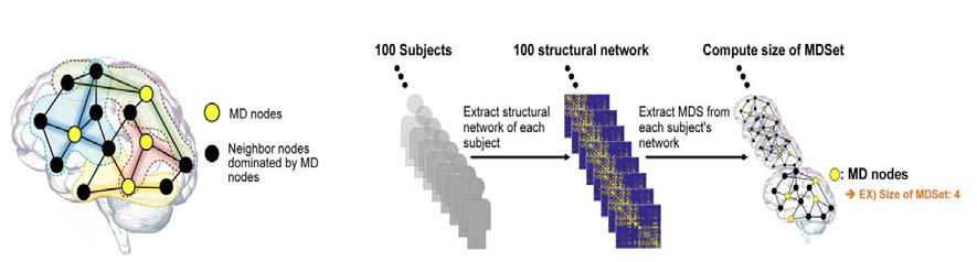 Conceptual schematic of MDSet in a network (left). Illustration of the MDSet identification procedure for structural brain networks of 100 normal humans (right)