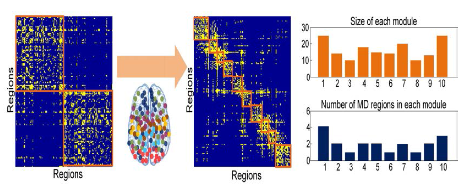 Modularization of structural brain network